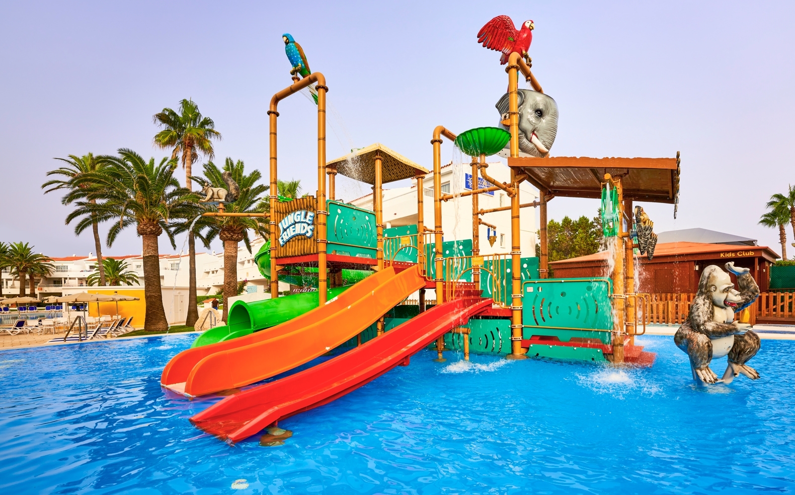 globales los delfines Menorca