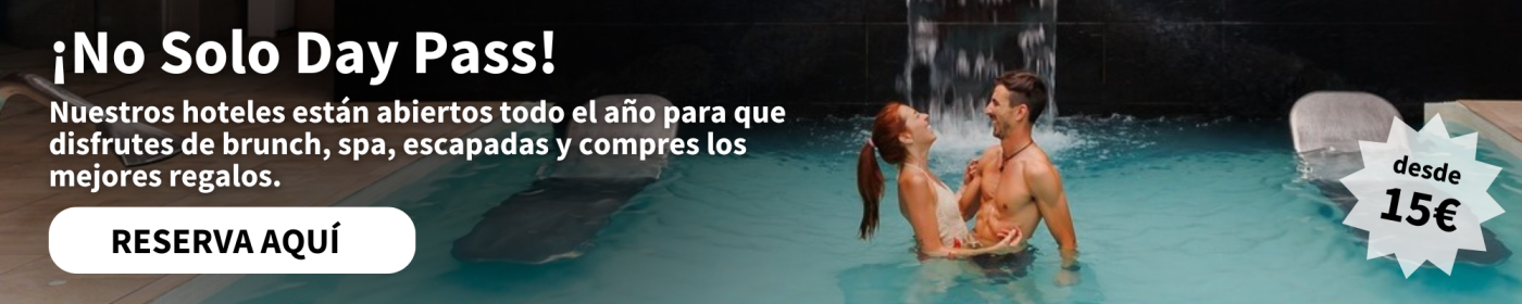 hotel treats todo el año