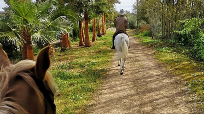Pool Access, Sunbed, Lunch & Horseback Riding