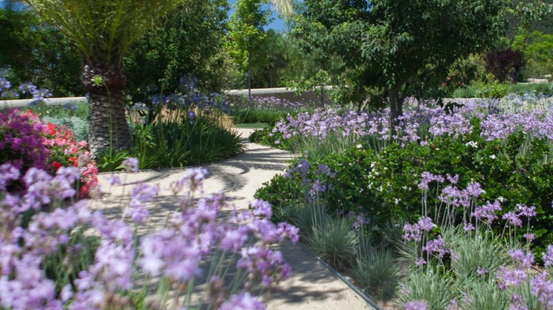 Day Pass para dos en Mallorca