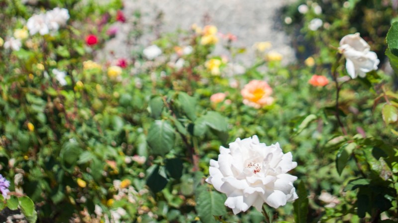 Castell Son Claret Spa