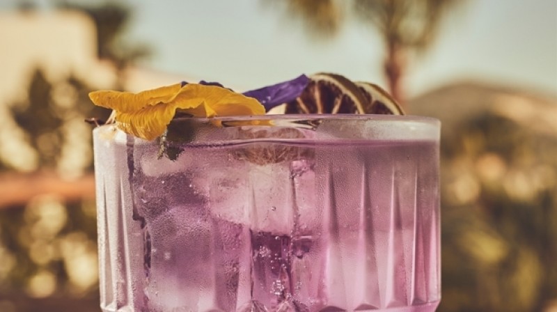 Petunia Ibiza Rooftop