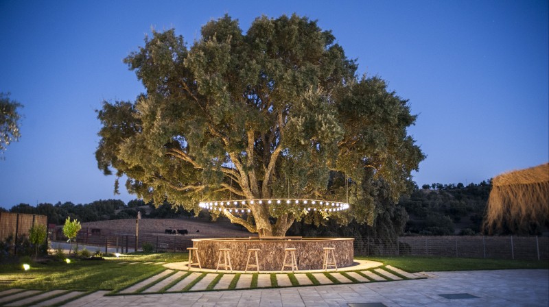 Getaway in Extremadura