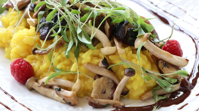 Restaurante Viva Porto