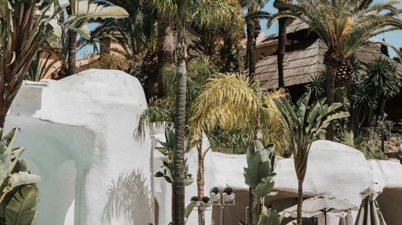 don carlos marbella pool