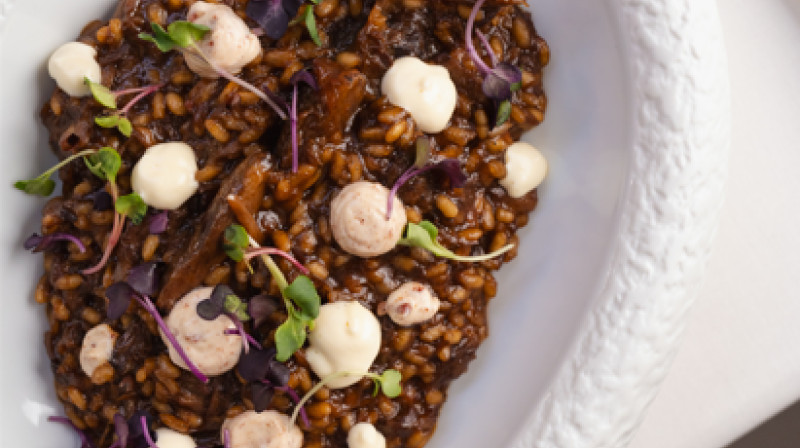 CoolRooms Palacio de Atocha