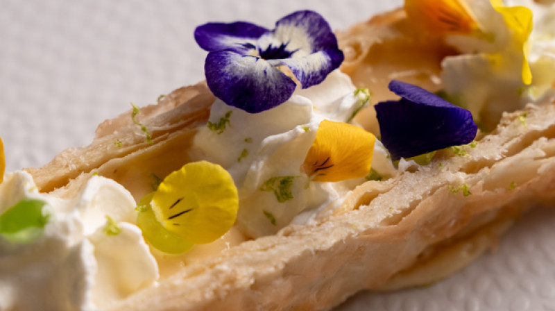 CoolRooms Palacio de Atocha