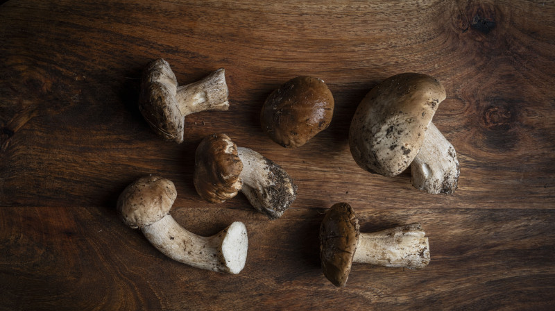 Intercontinental Barcelona