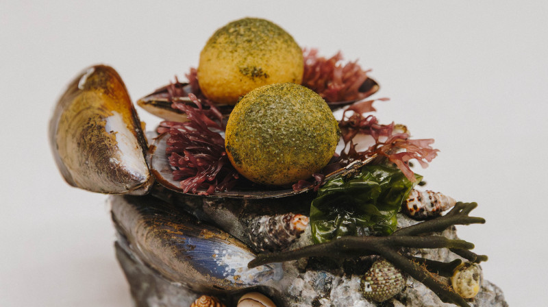 gastronomia