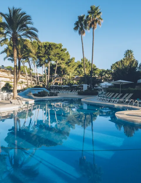 piscina pinos