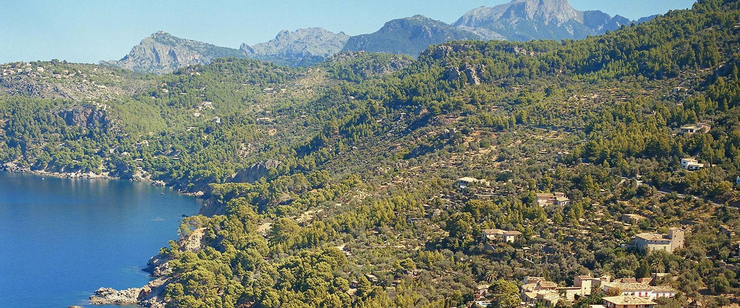 cosas que hacer en mallorca