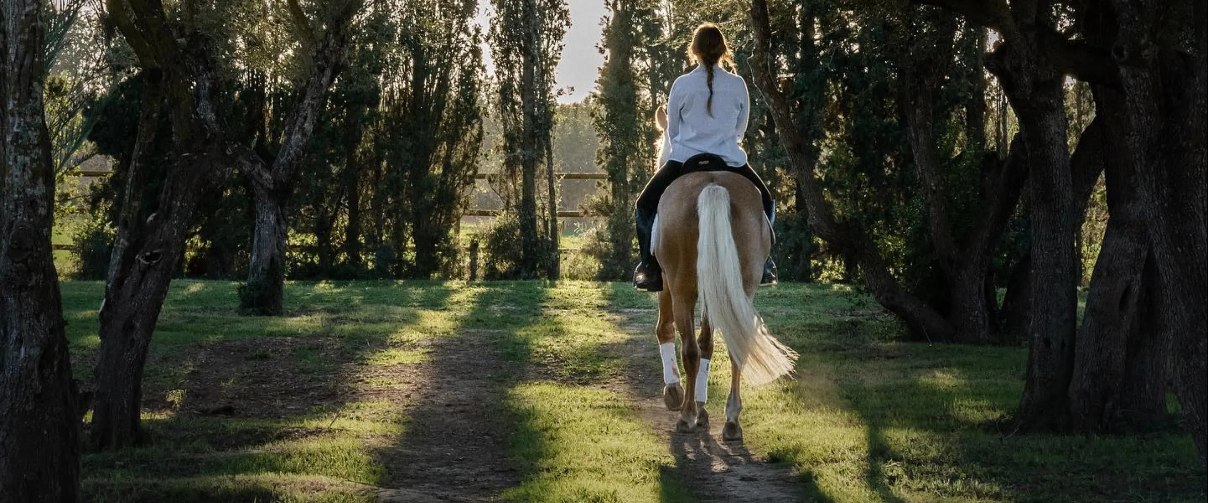 Son Menut Caballos