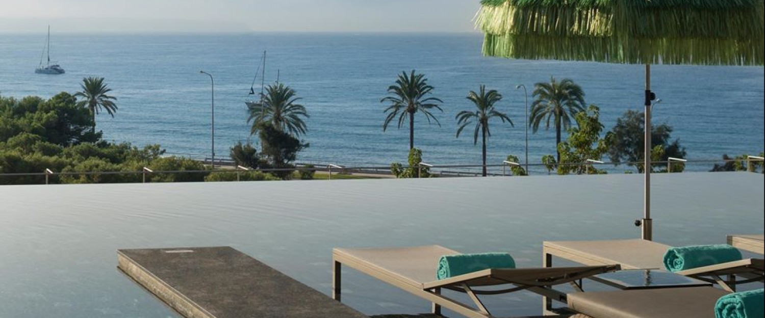 roof top palma