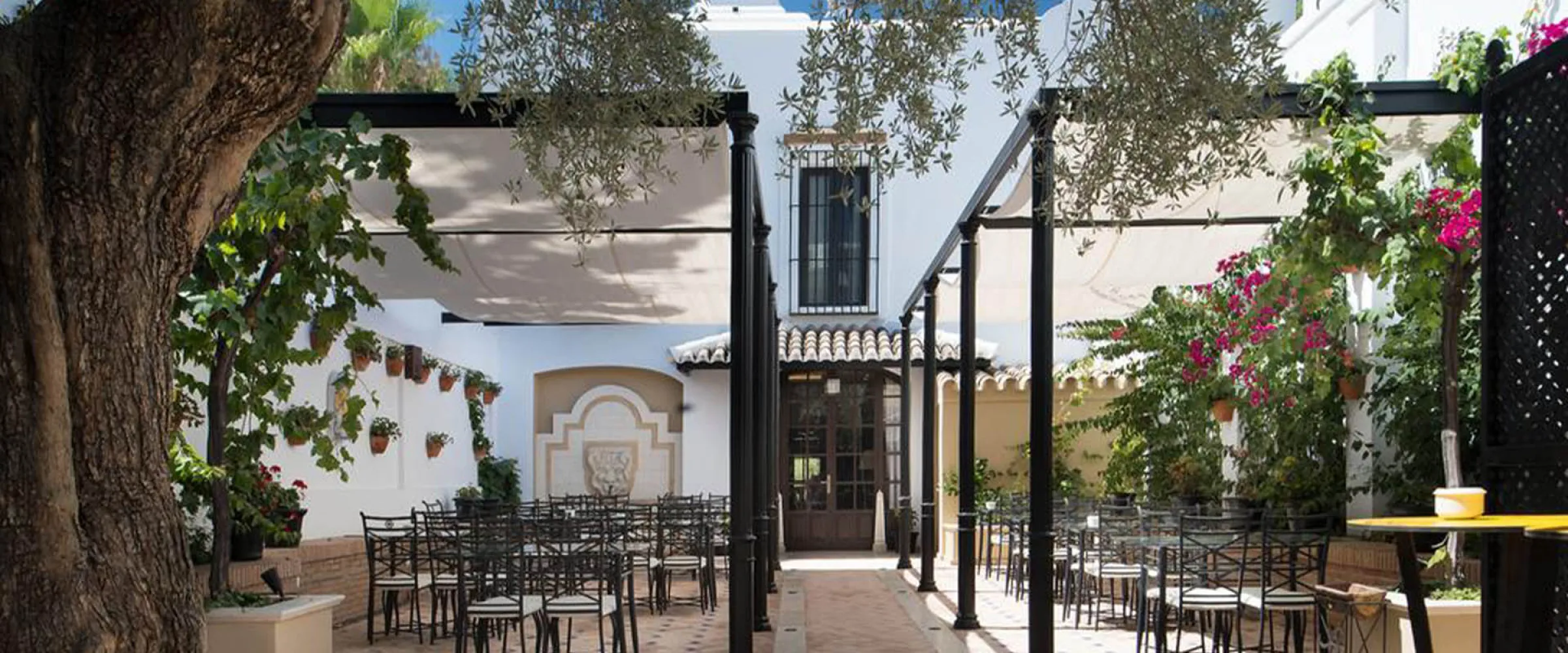 la malvasía terraza