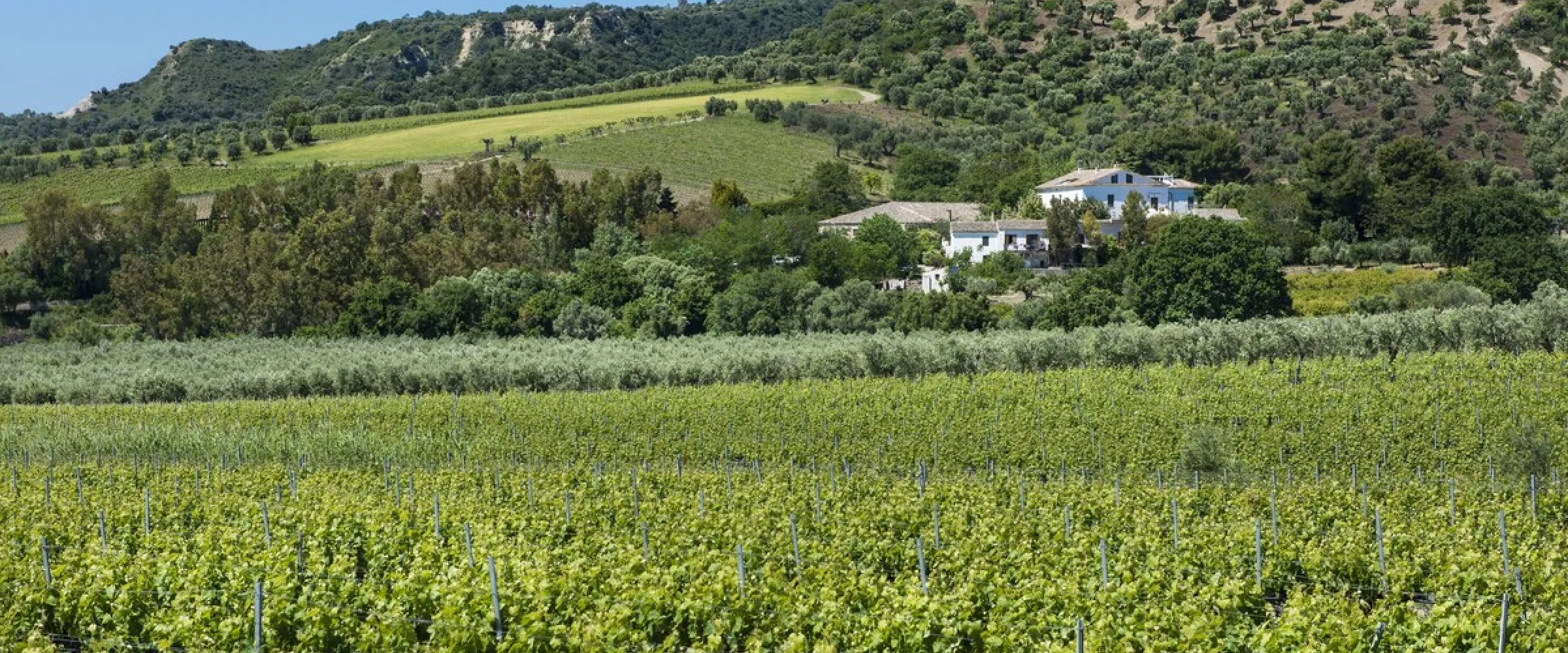 Dattilo Relais & Ristorante Strongoli