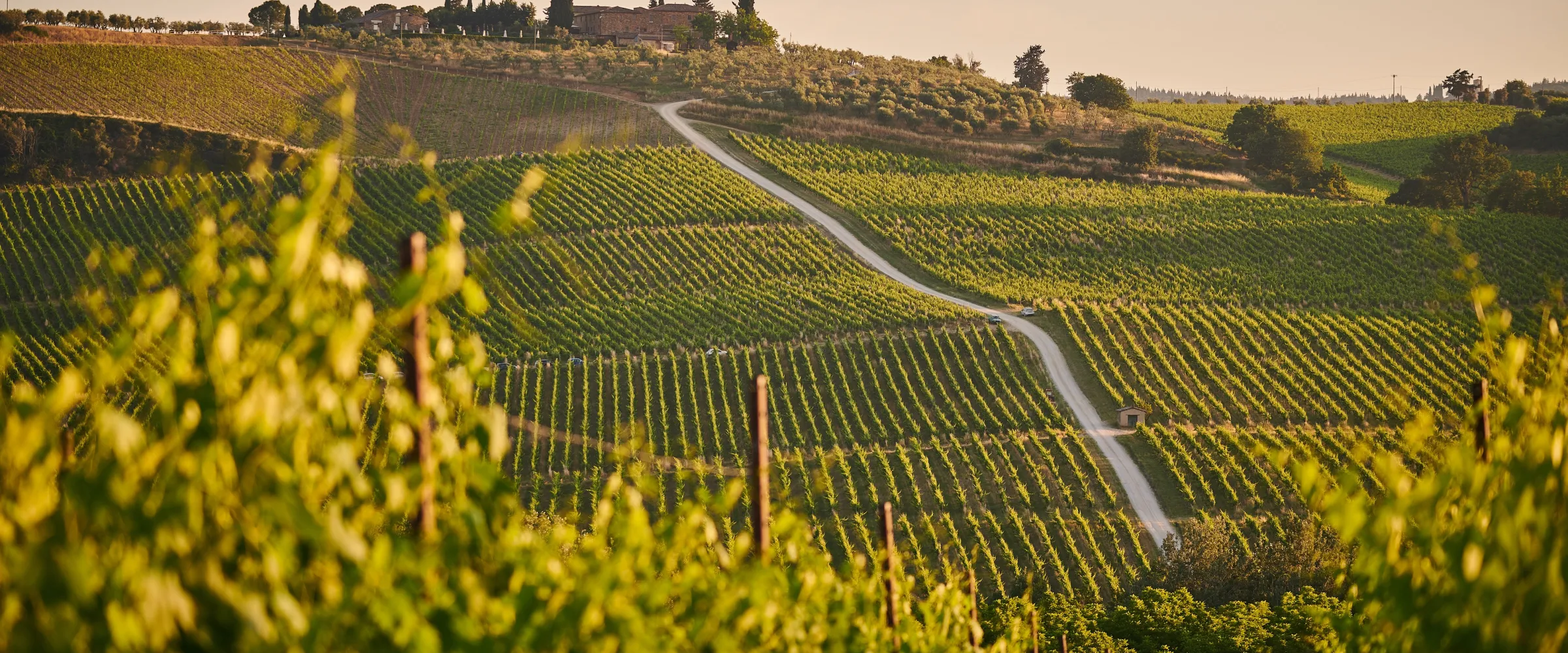 Wine Tasting in Cellar at Dattilo Relais & Ristorante