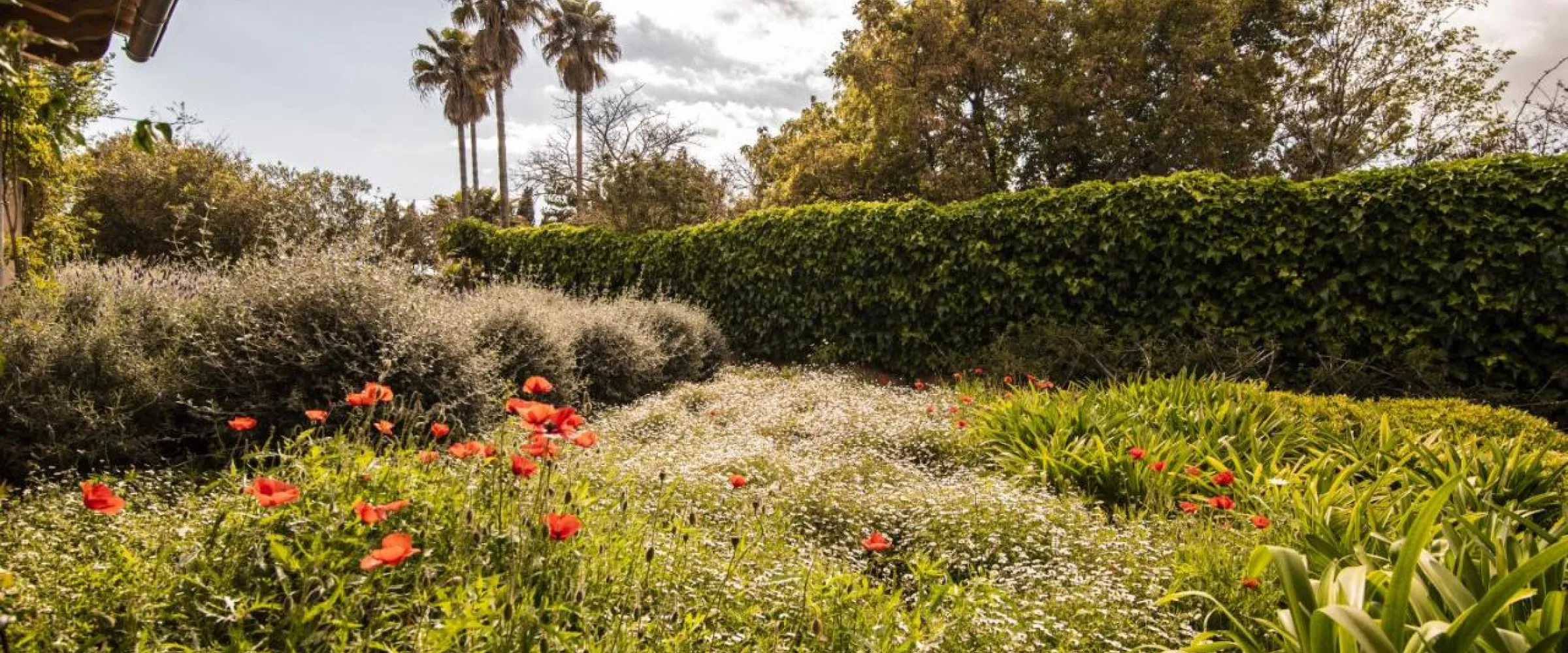 getaways in mallorca
