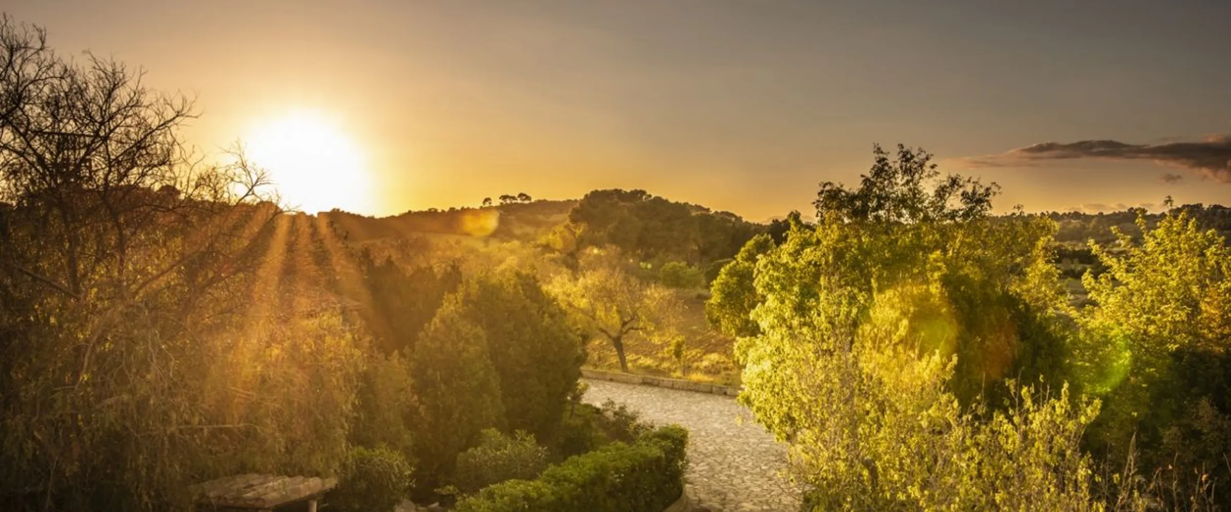 Experiences and Gift Vouchers From Luxury Hotels In Felanitx.