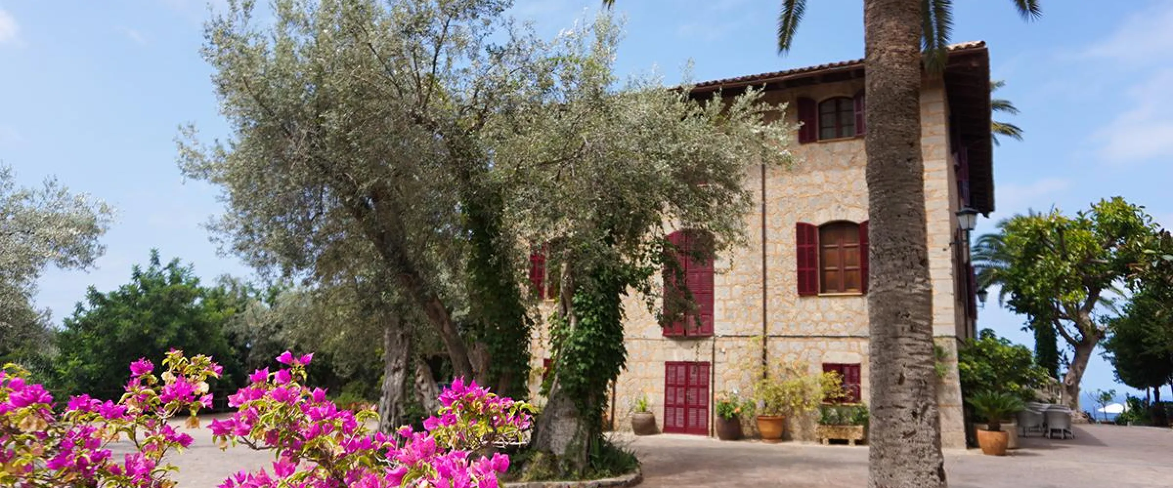experiences in deia
