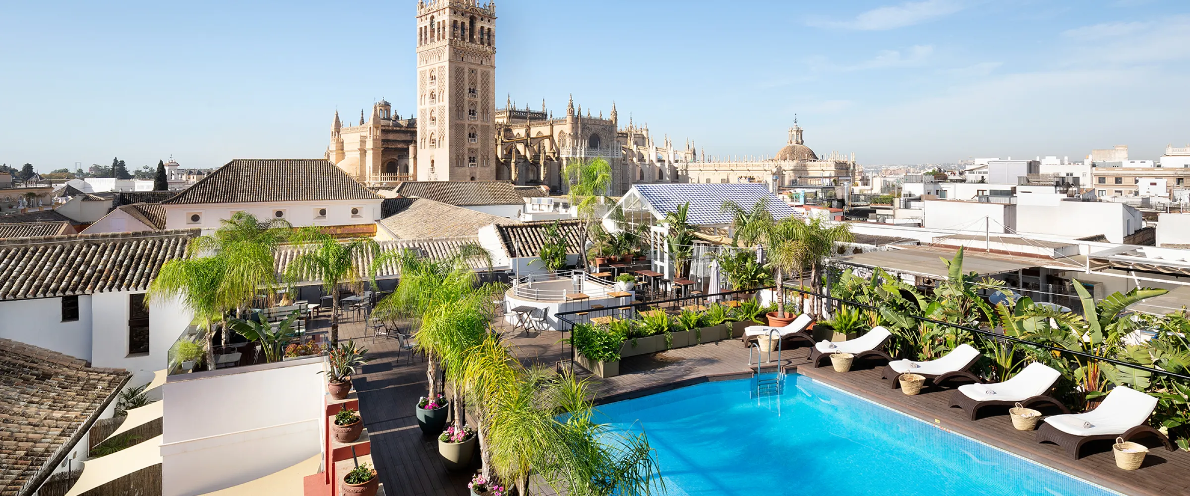 Fontecruz Sevilla Piscina
