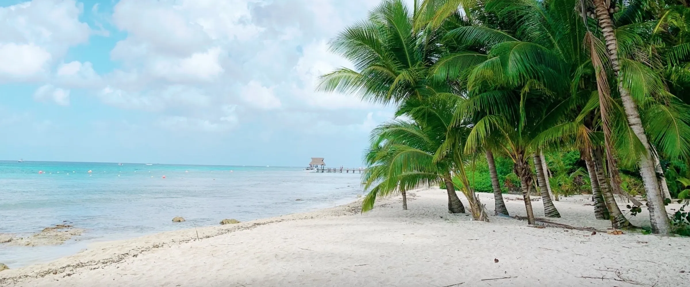 cozumel unsplash