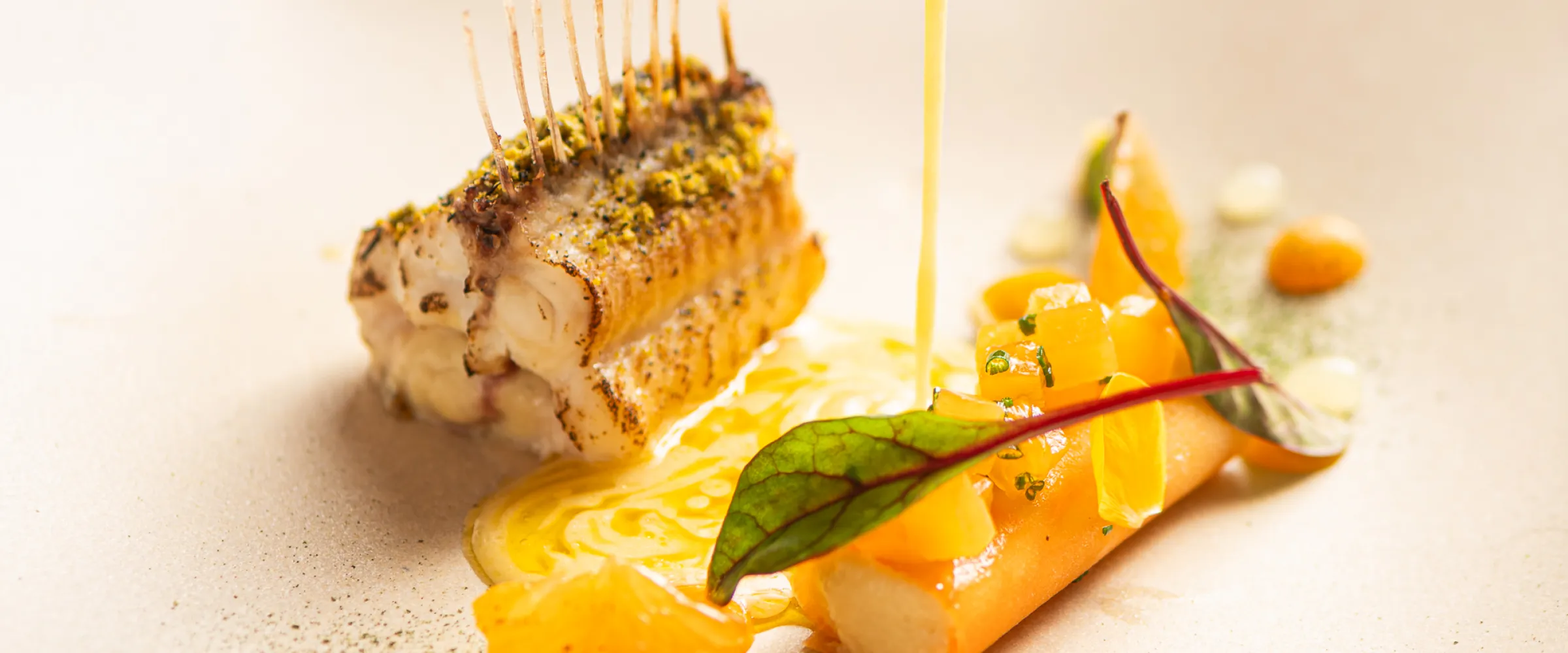 gastro palma blanc