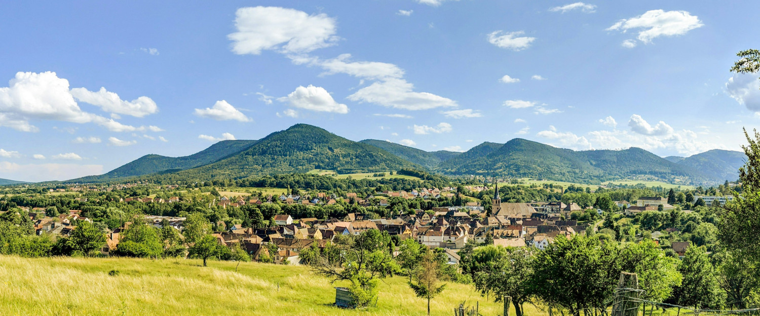 Colmar Localidad