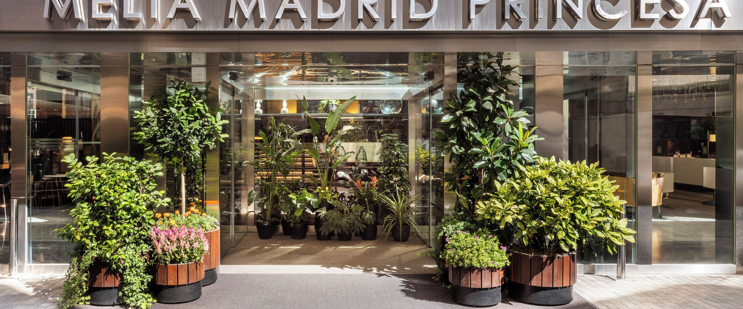 Melia Madrid Princesa entrada